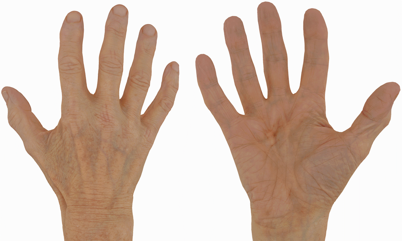 3D male old hands textures